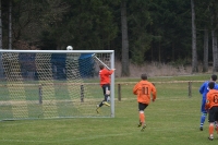 2015-03-29 SV Burgsalach-Ind - SF Bieswang 1-4